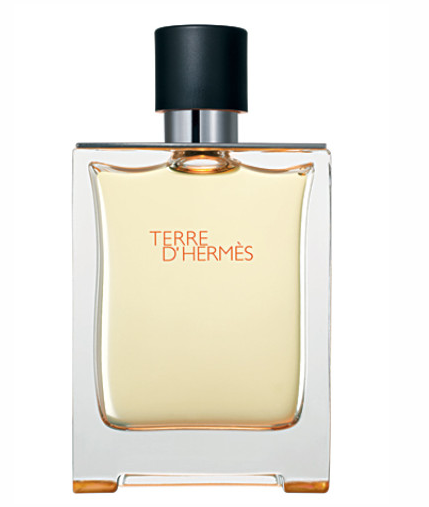 Terre d'Hermes - 100ml